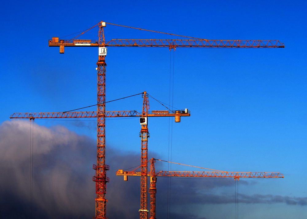 Cranes