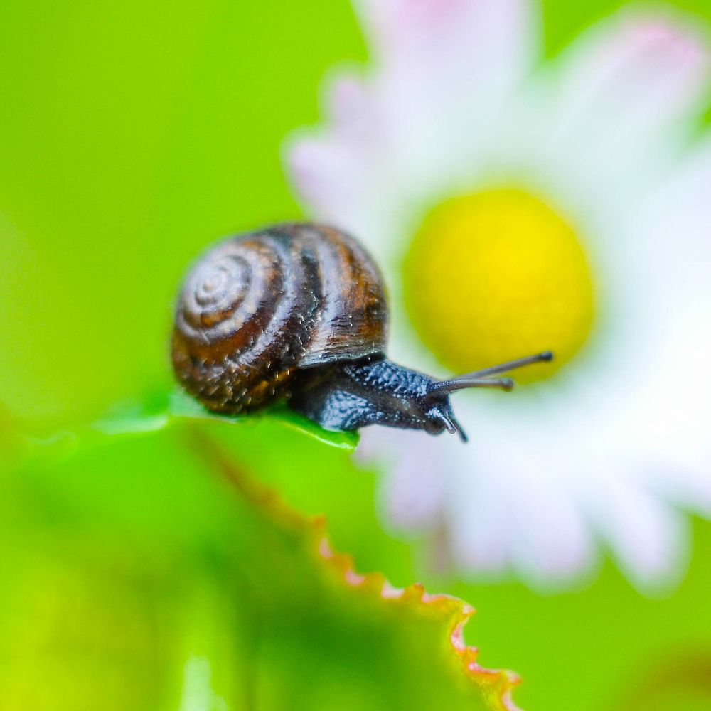 Photograph by Олеся zme