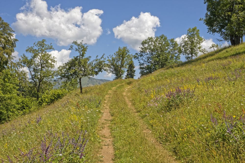 тропинка в гору