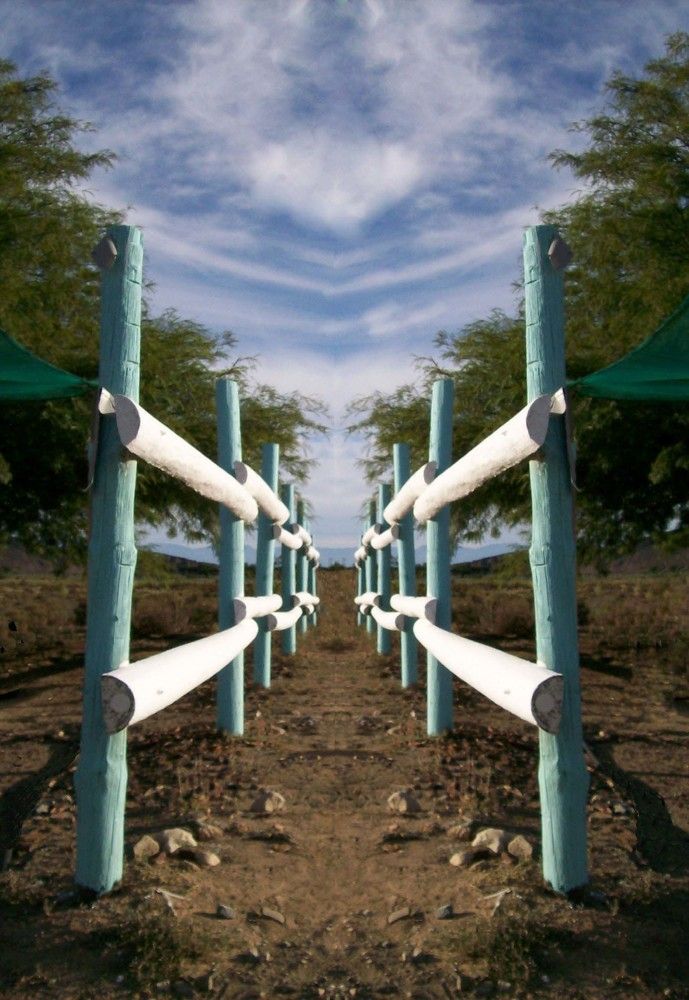 путь в неведомое