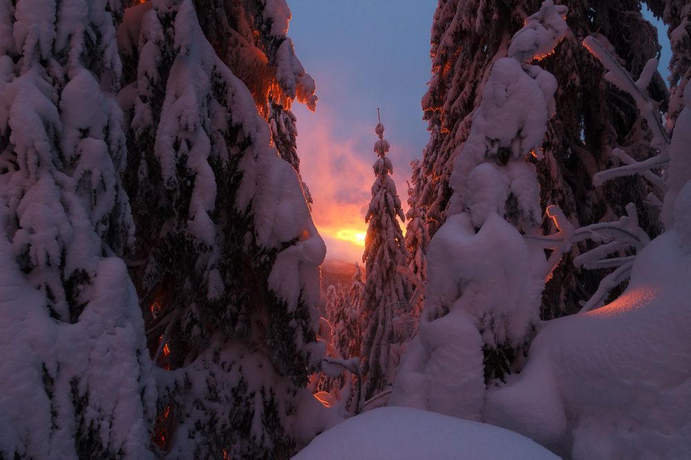 Сказки зимние