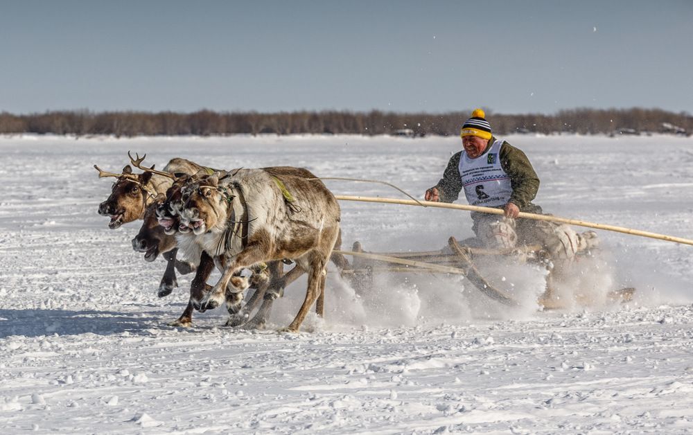 Азарт гонки