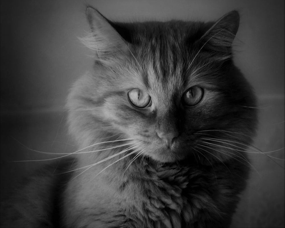 Photograph by Алия Байсыкова