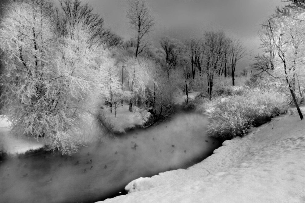 Photograph by Флорис Закреев