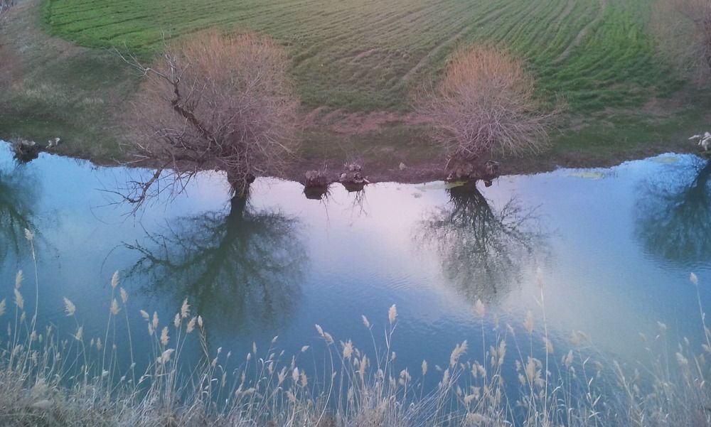 Spring reflection