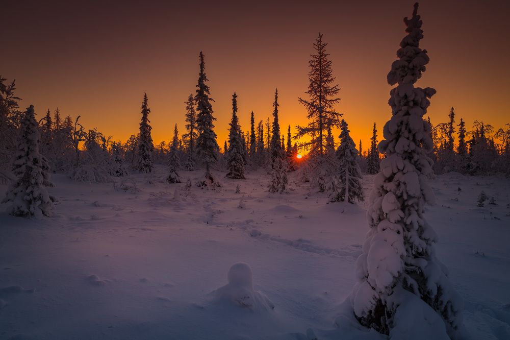 Январский день
