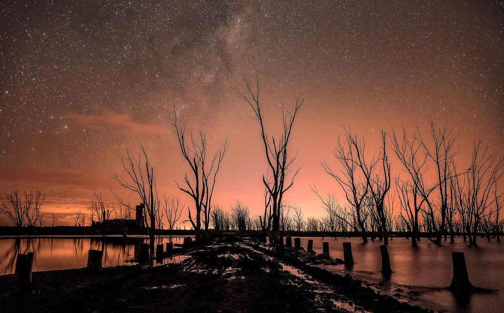 NOCHE EN EL MATADERO