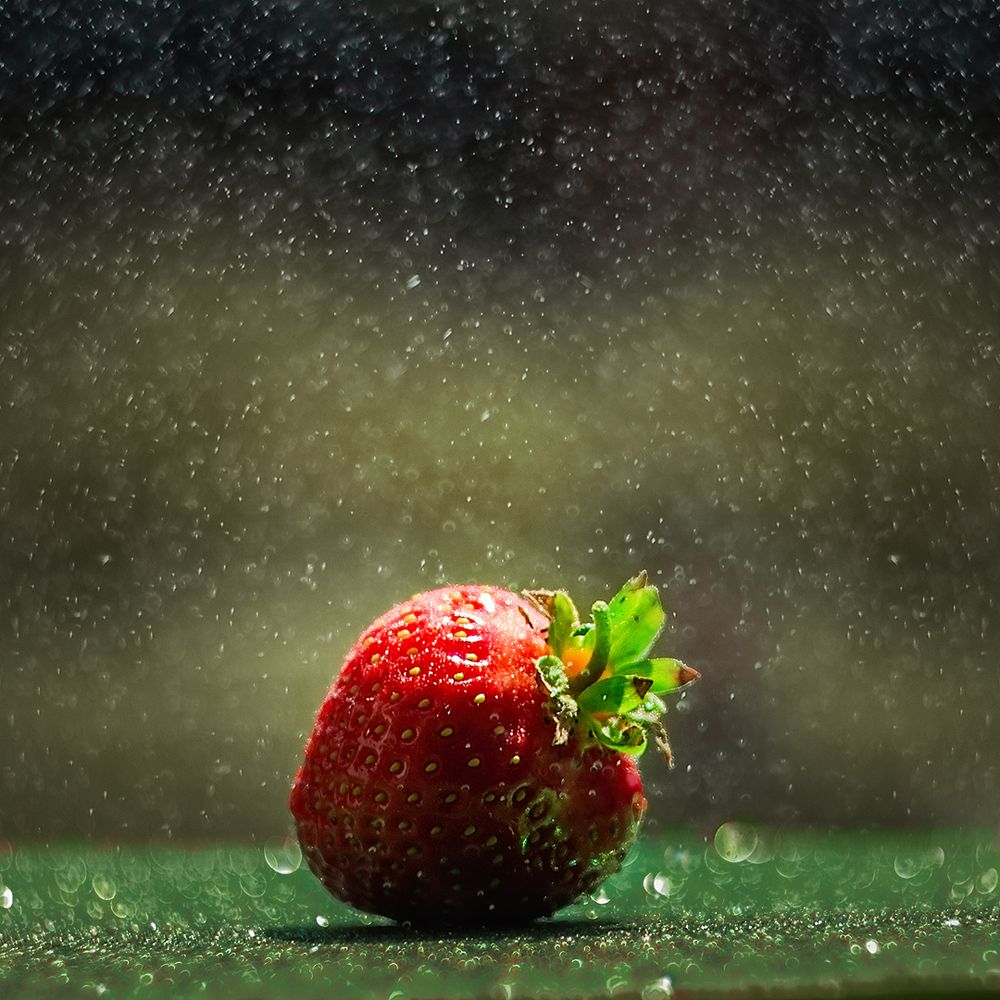 Photograph by Галина Иванова