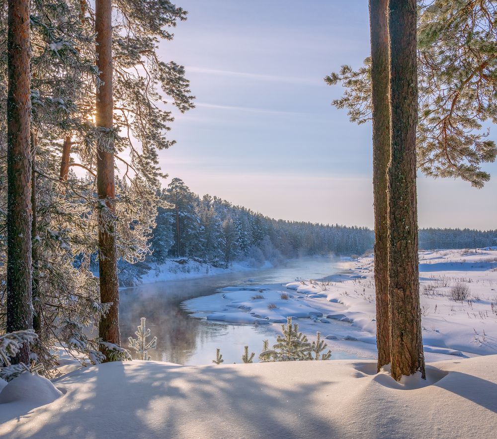 Свежесть морозного дня.