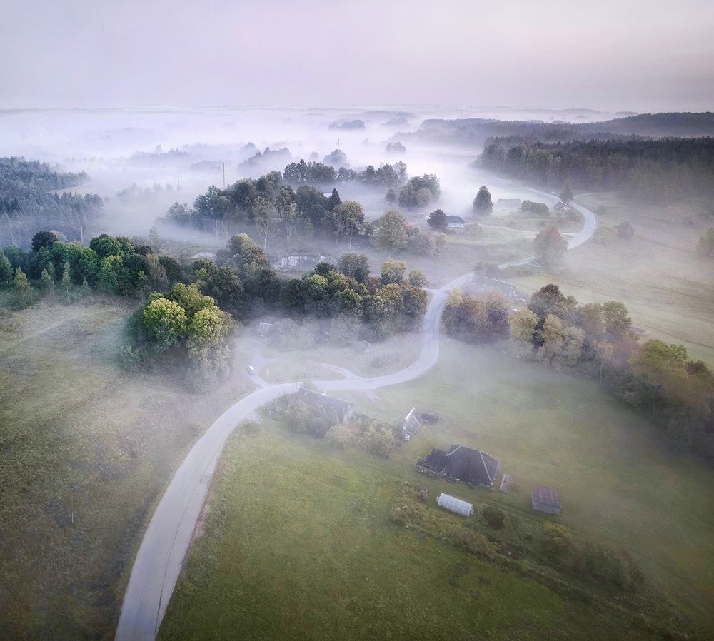 Mist, road and fog