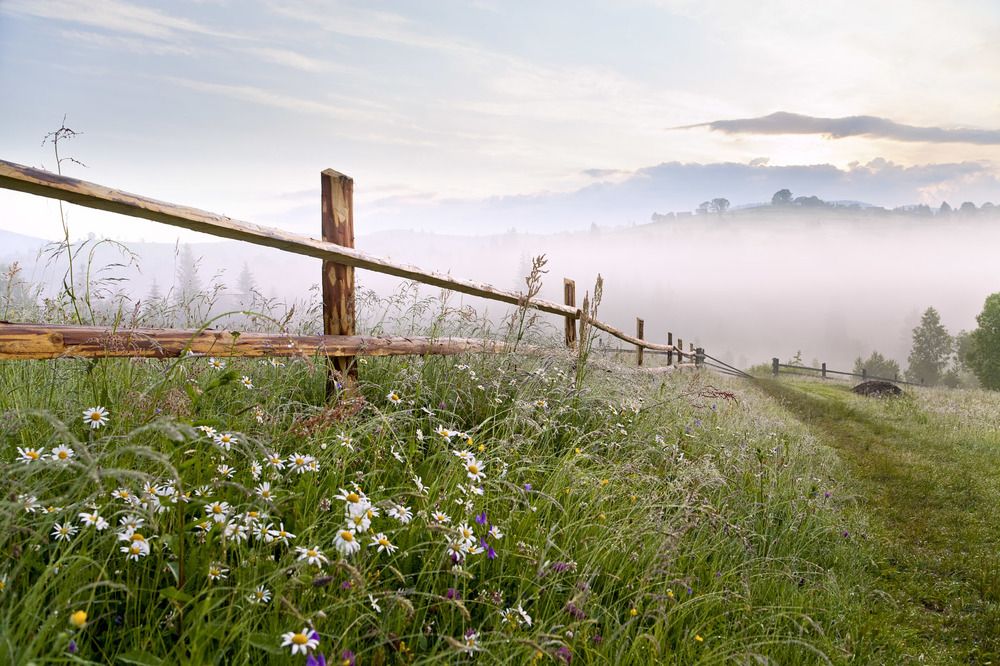 Даль подернулась туманом...