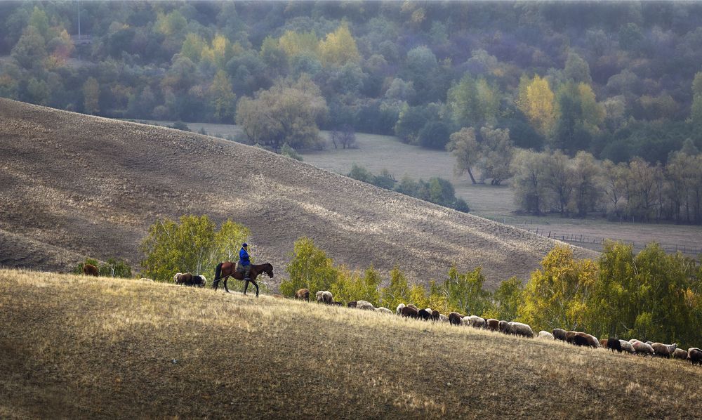Завтрак на траве