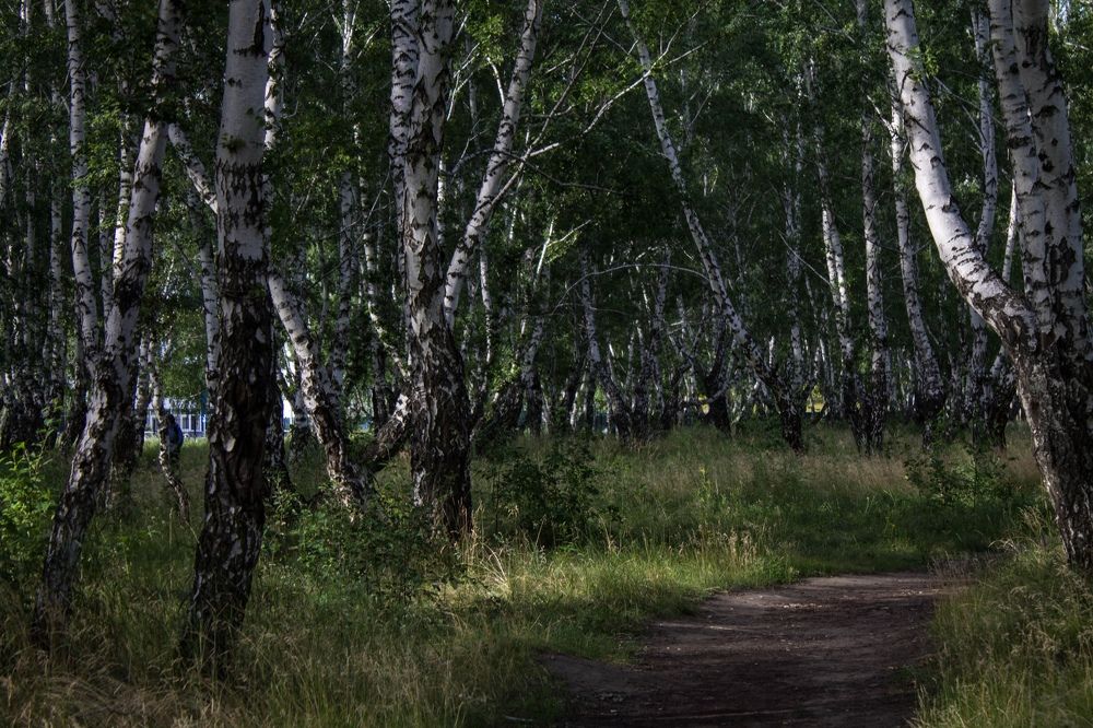 Photograph by Анастасия Клевакина