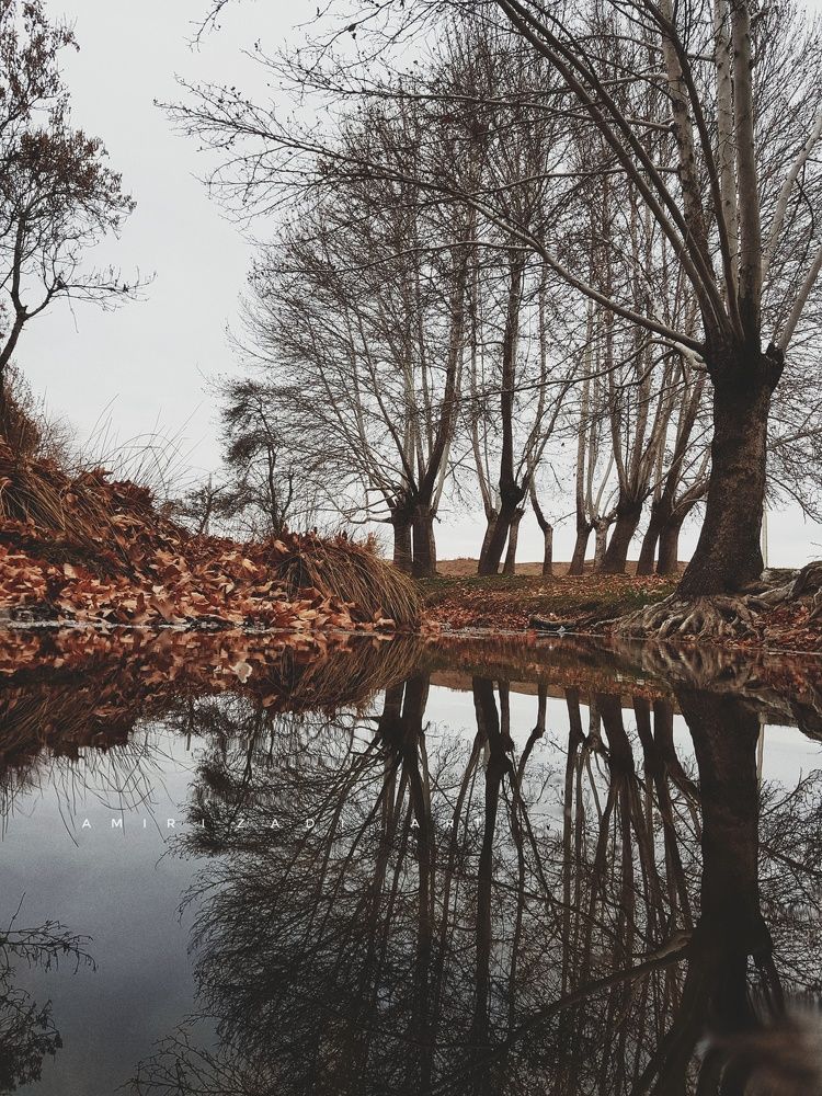 Reflection