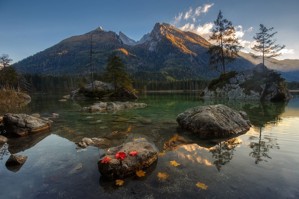 Вестники осени