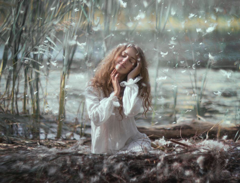 tenderness of feathers