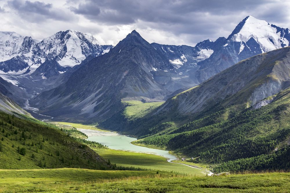 Из зимы в лето