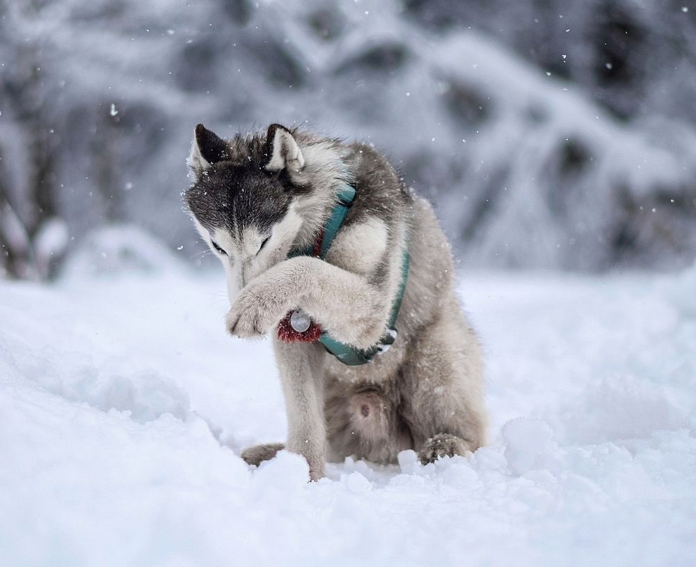 Фотография автора Мария Яропольская