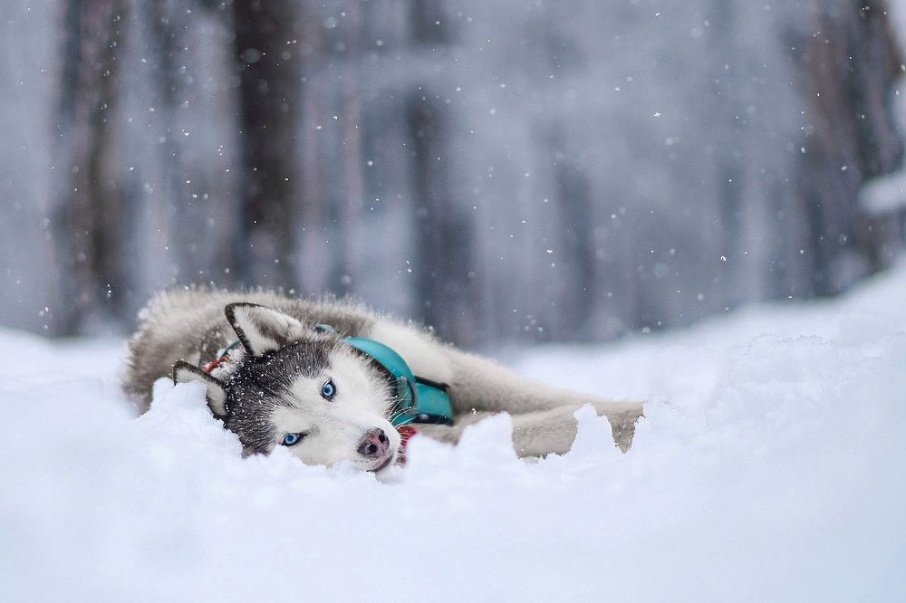 Фотография автора Мария Яропольская