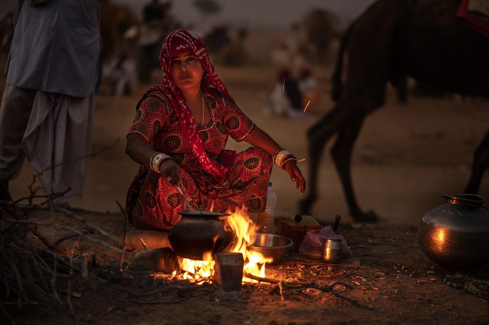 Evening at pushkar camel fair