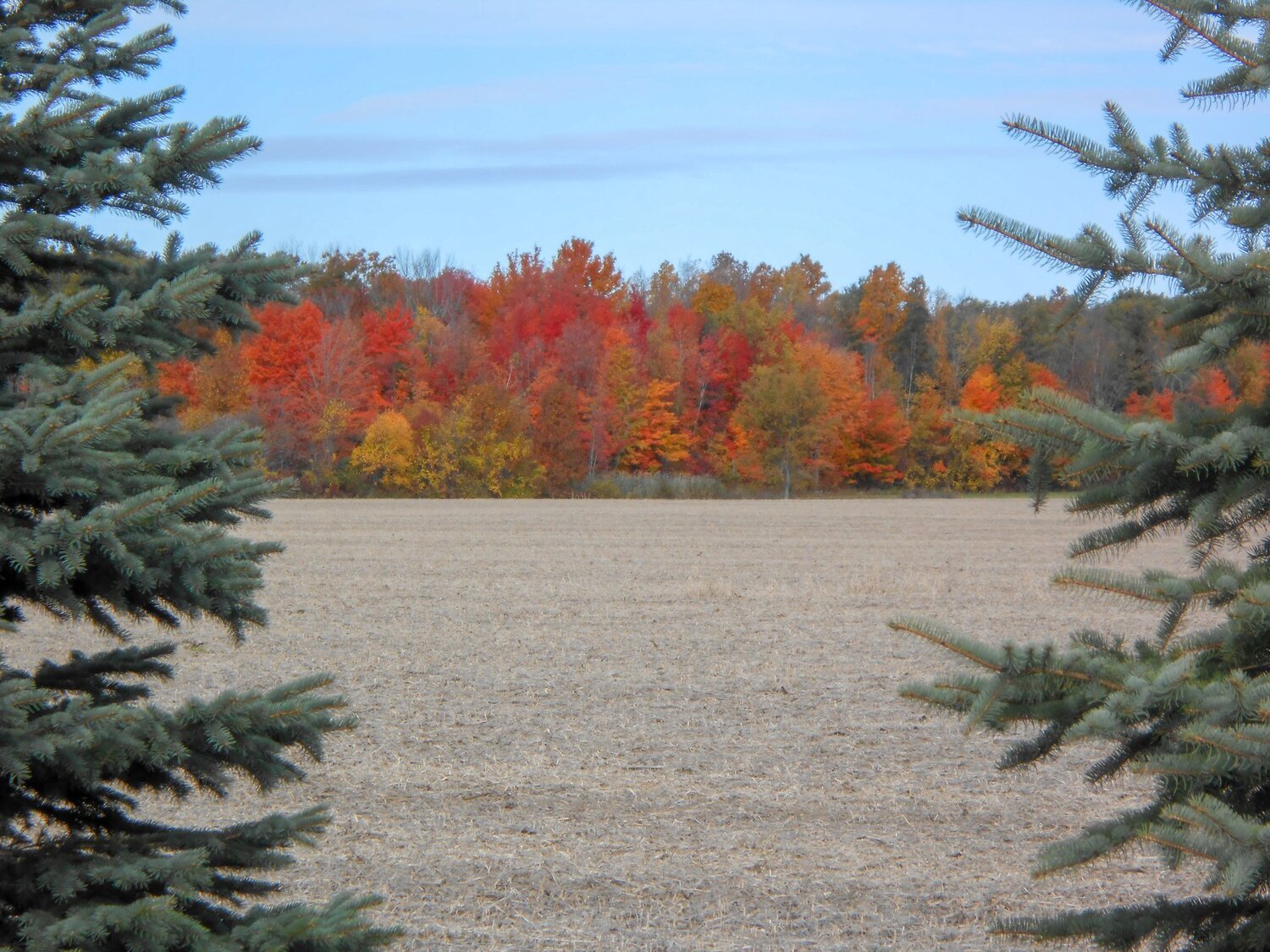 farm field