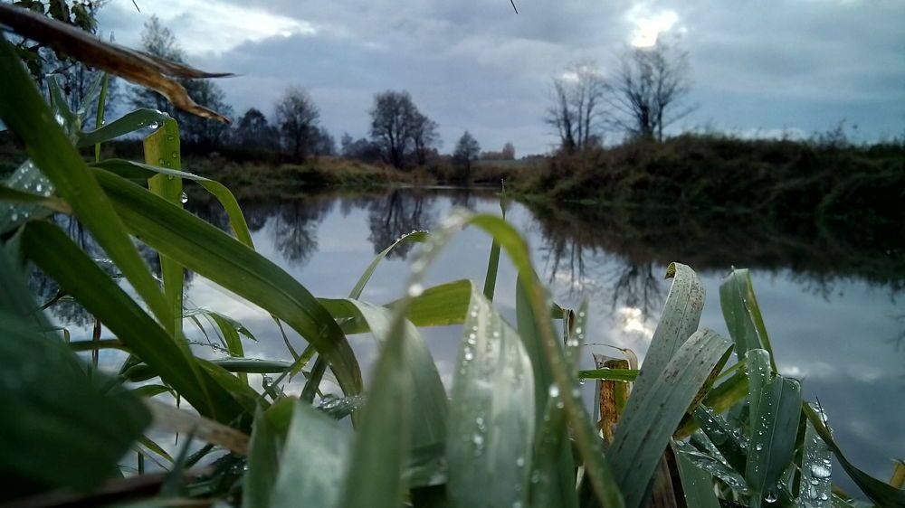 Photograph by Дмитрий Нестерович