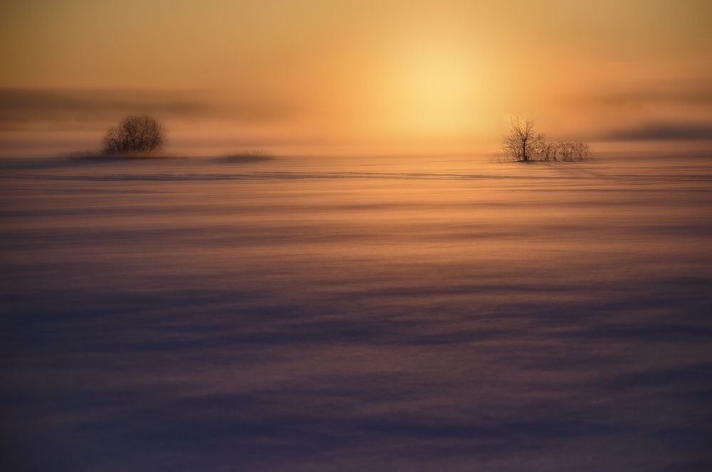 Однажды в студеную зимнюю пору...