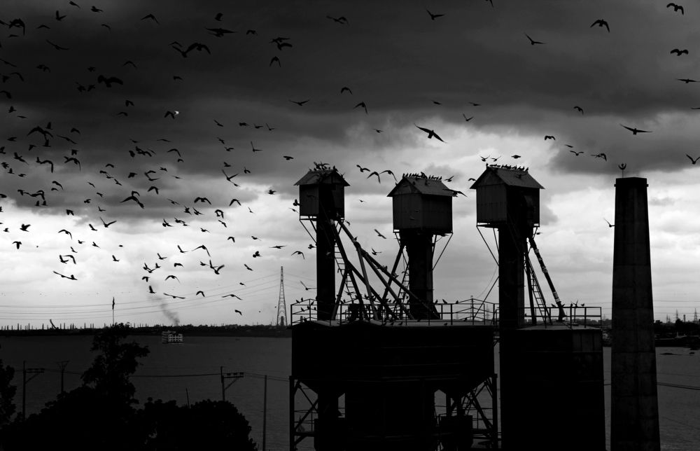 Travel in a dark day