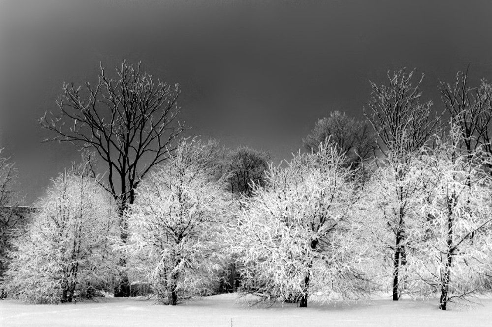 Photograph by Флорис Закреев