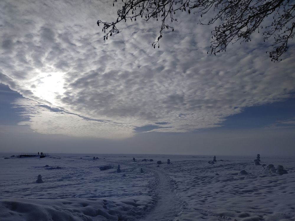 Финский залив