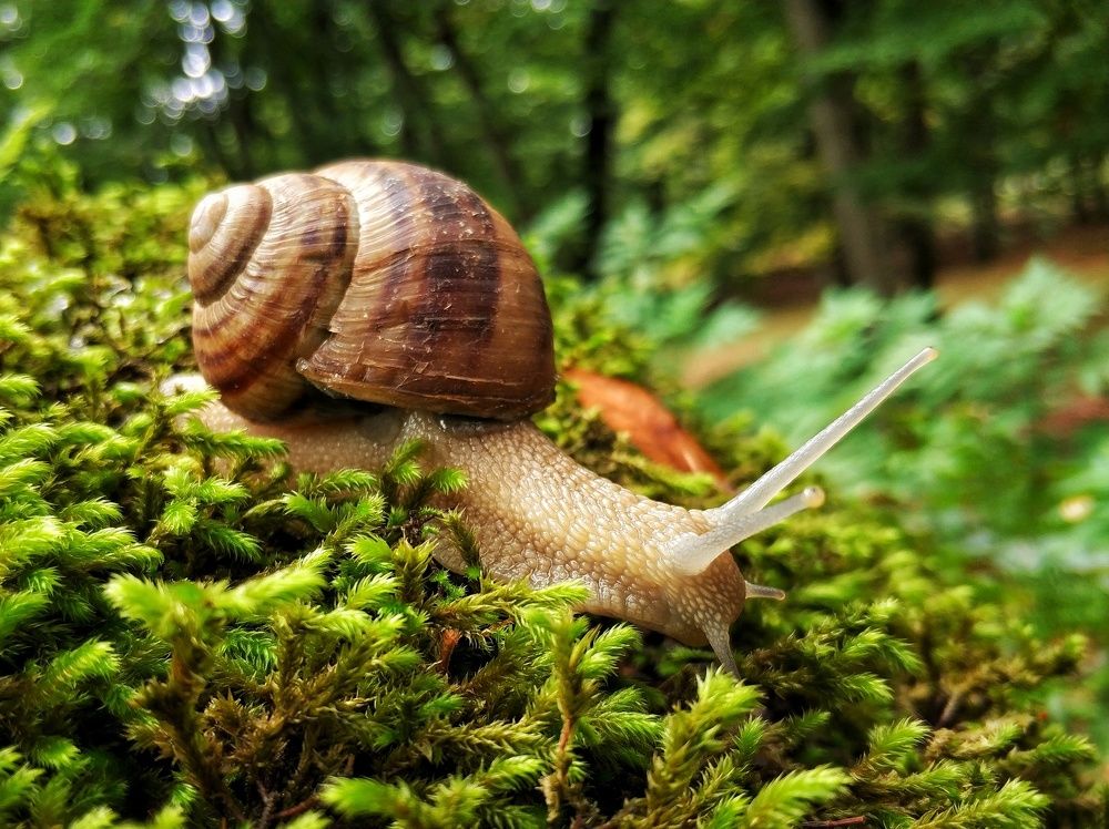 Photograph by Наталья Сонникова