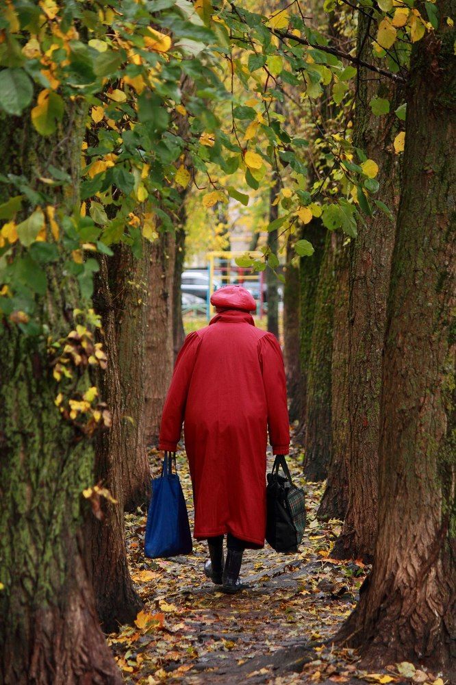 Леди ин ред