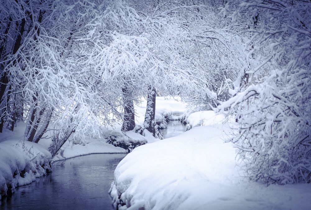 Зимний пейзаж