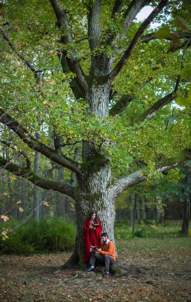 Дерево рода