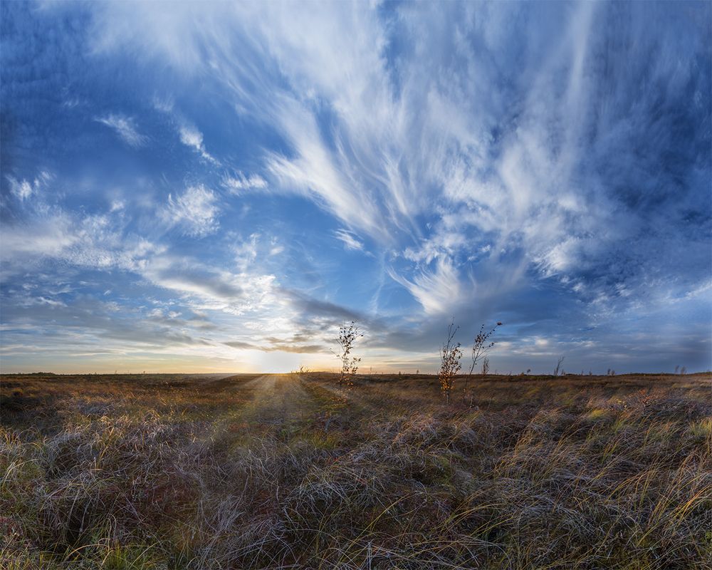 Photograph by Татьяна Слёзкина