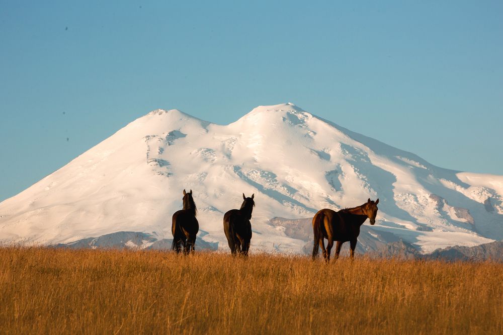 В горах Кавказа