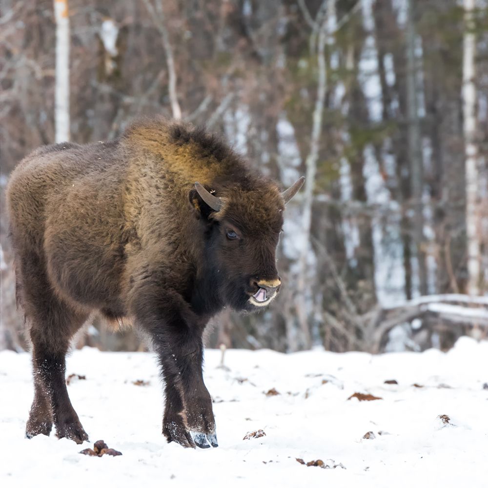 Детки - такие детки