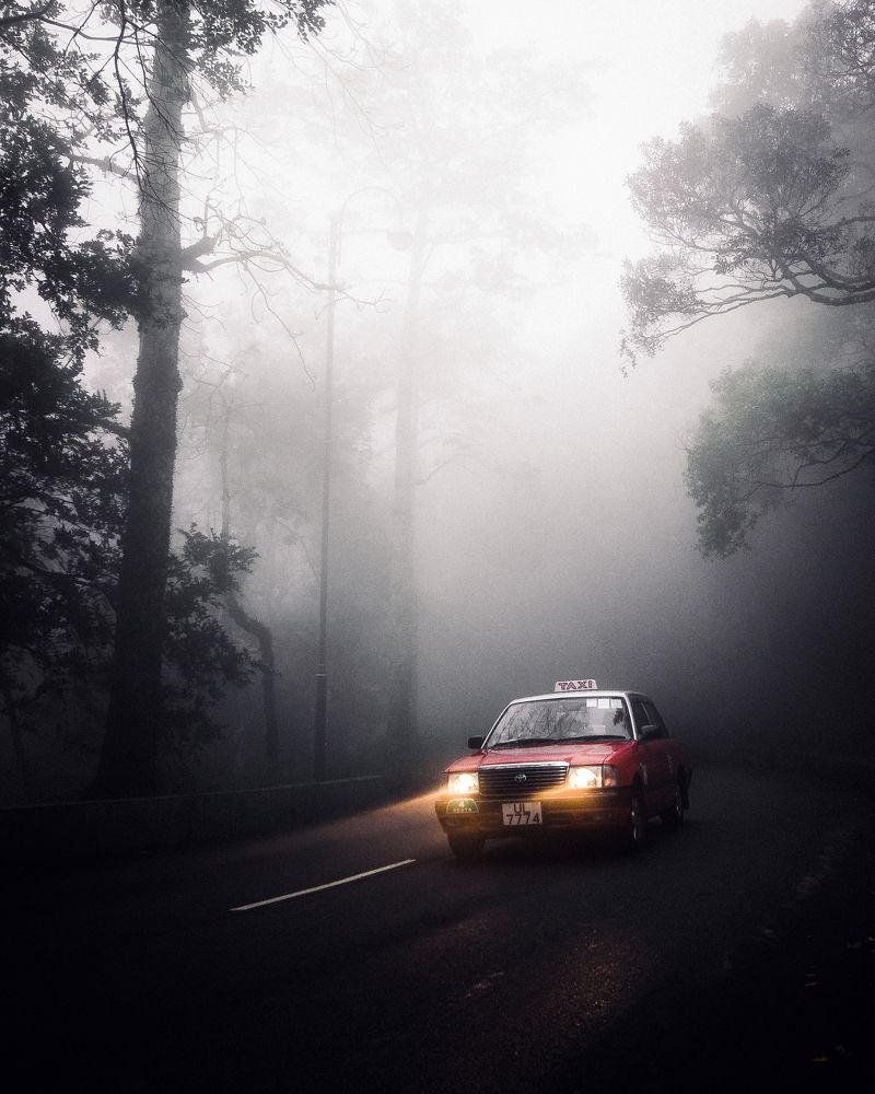 car in the fog.