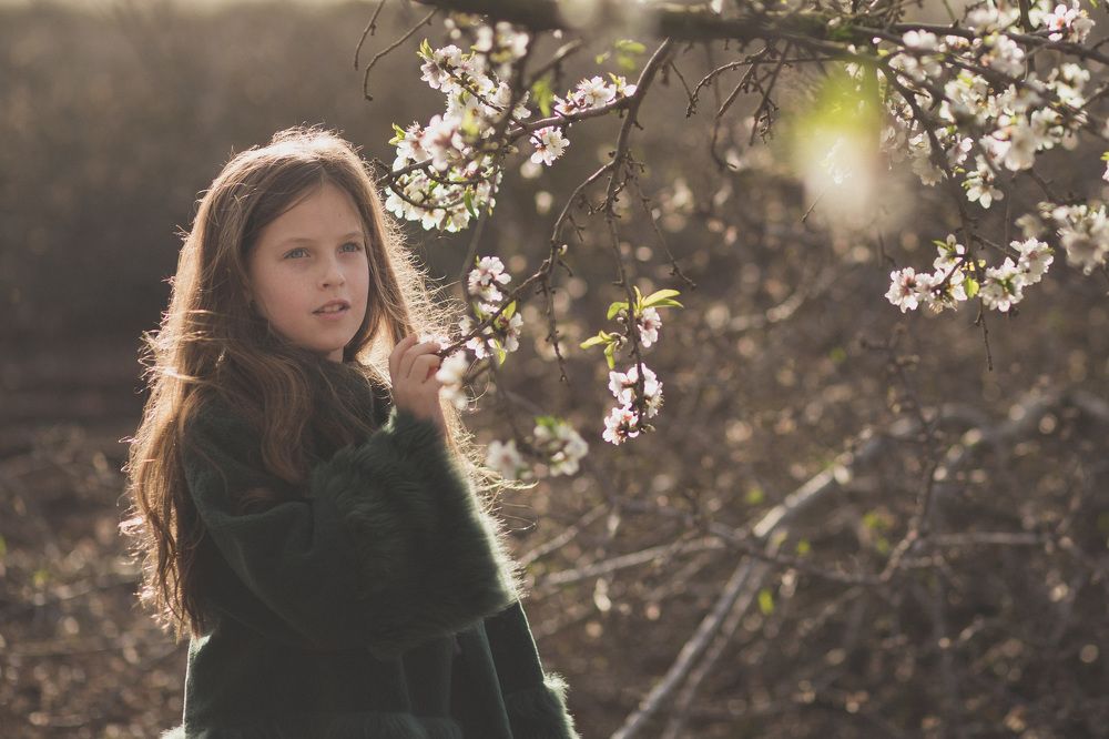 Весеннее цветение