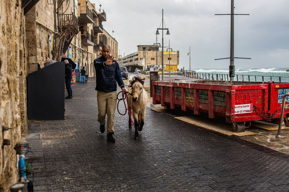 Photograph by Алена Гаспарян
