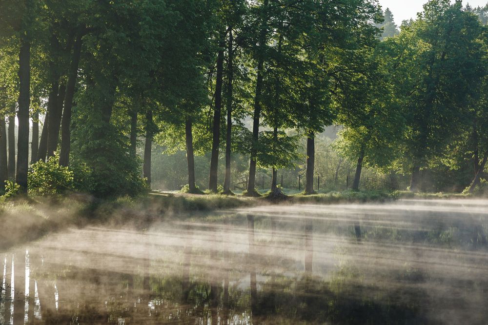 Подмосковный июнь