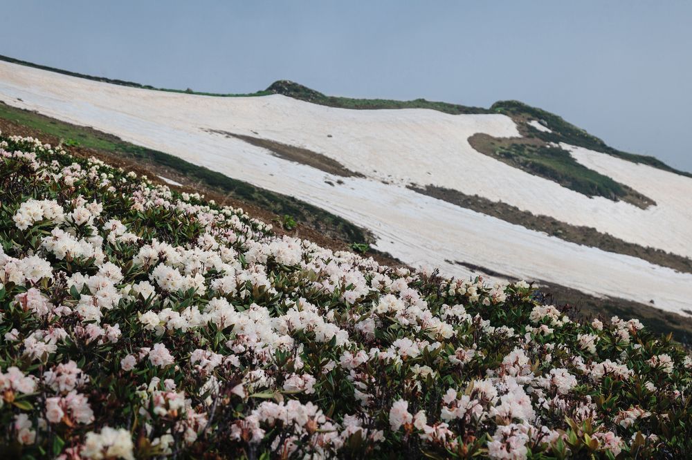 Июнь в горах