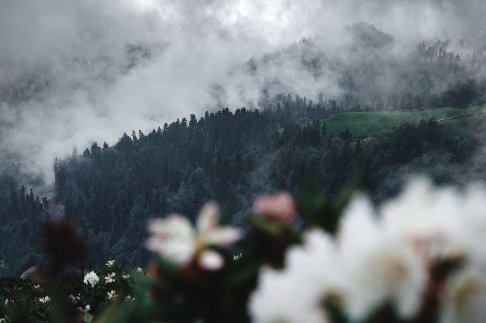 Низкая облачность в горах Красной Поляны