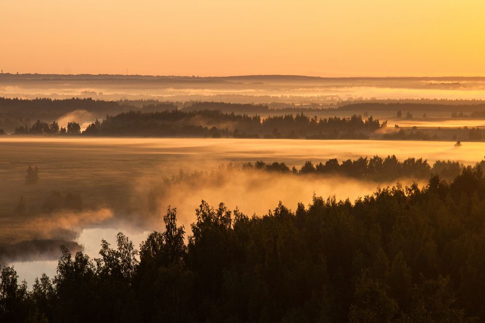 Золотое утро