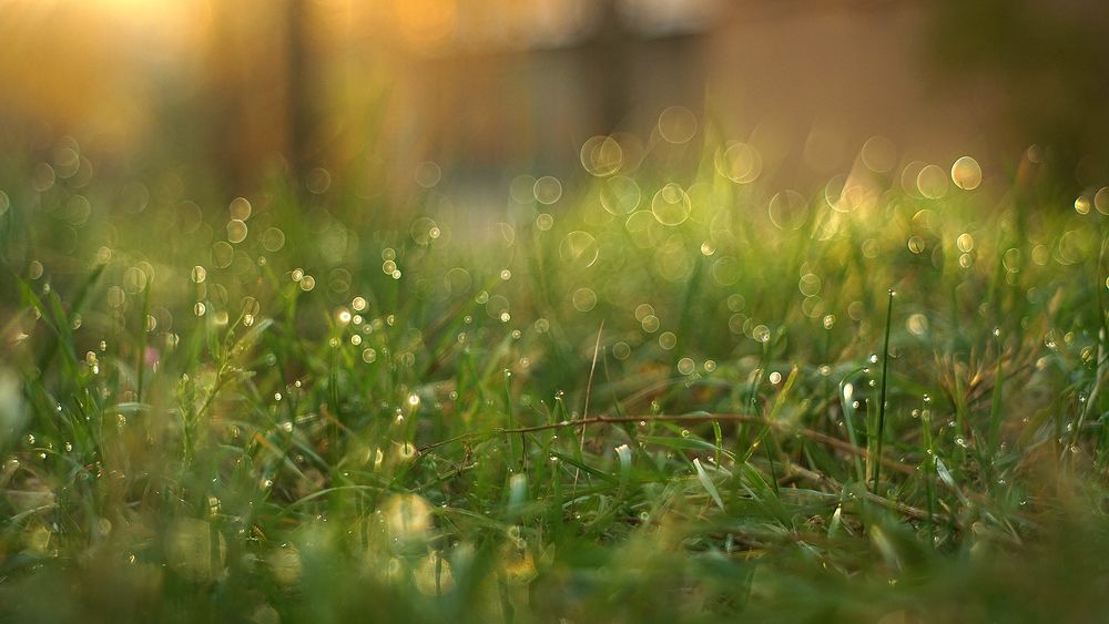 Photograph by Dzianis Mizhui