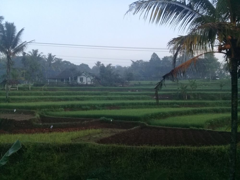 Beuty morning