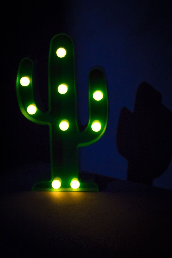 Photograph by Pedro Teixeira