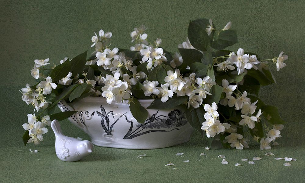 Фотография автора Марина Кулакова