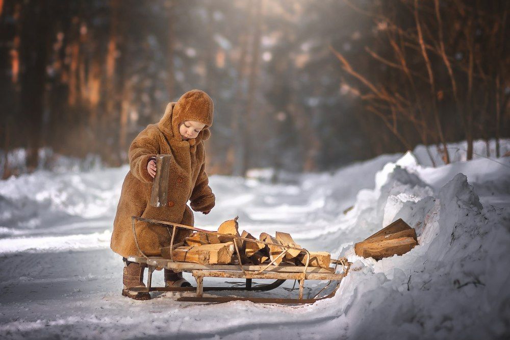 Дело-дрова!