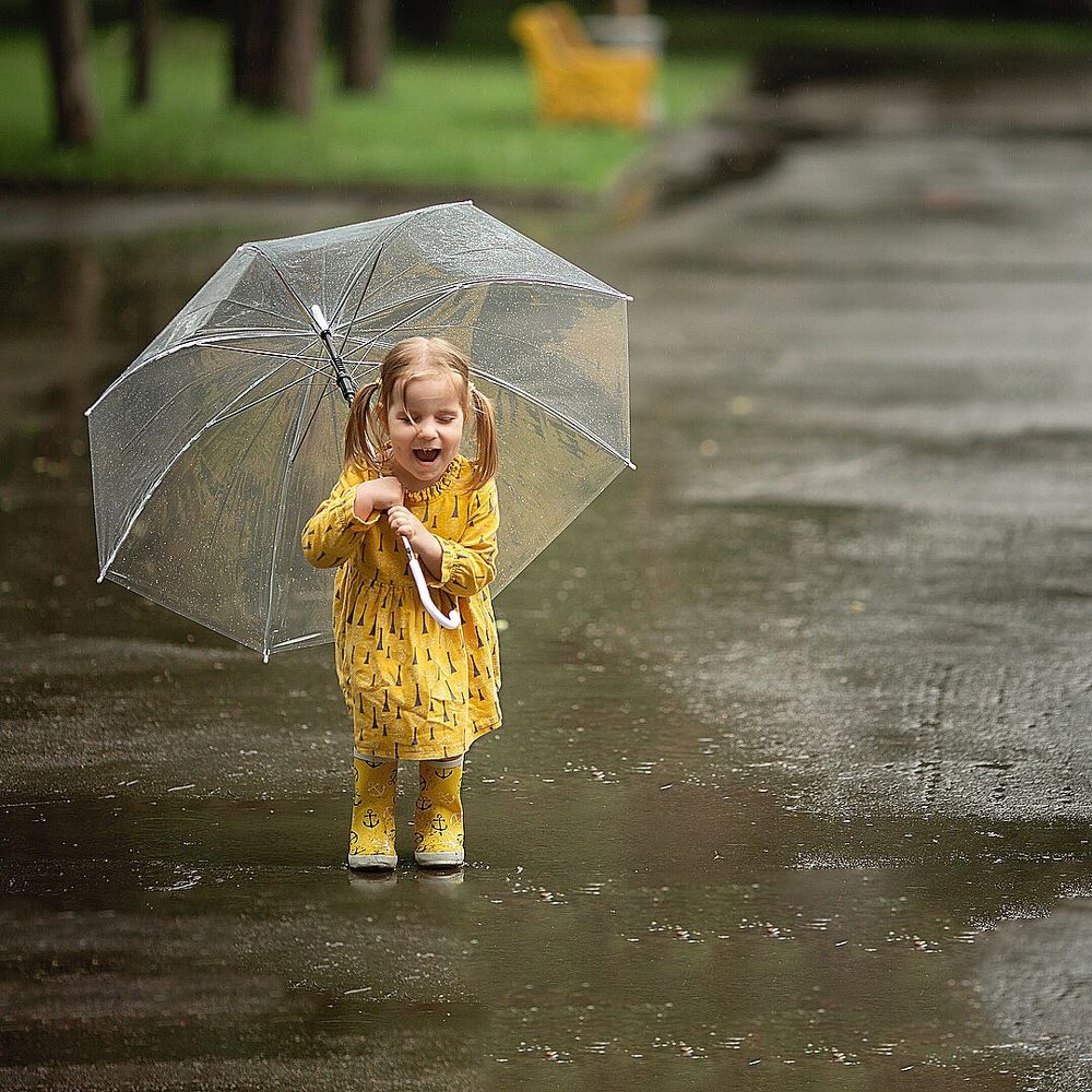 Летний дождь